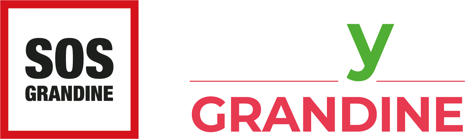 Genyio Grandine Partner